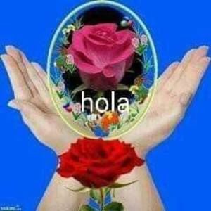 Meet your Posher, Ray